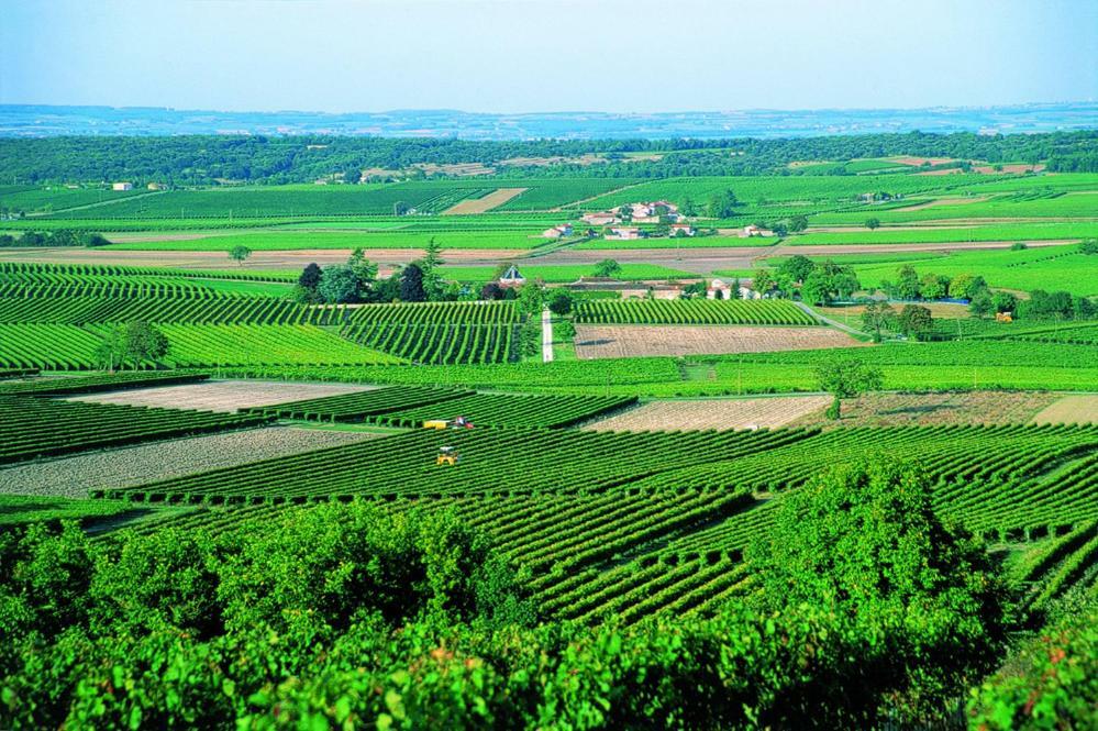 Bed & Breakfast Le Savoir Vivre