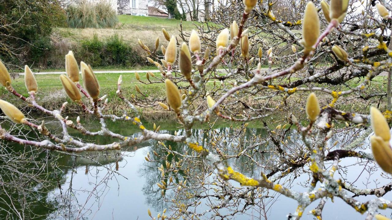 Bed & Breakfast Le Savoir Vivre Bonnes (Charente)