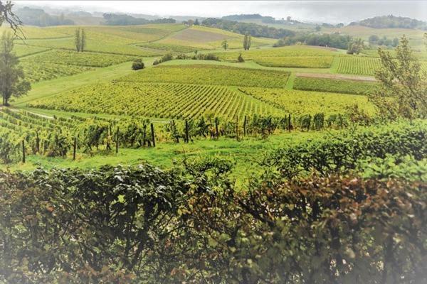 Le Savoir Vivre Bed & Breakfast Bonnes (Charente)
