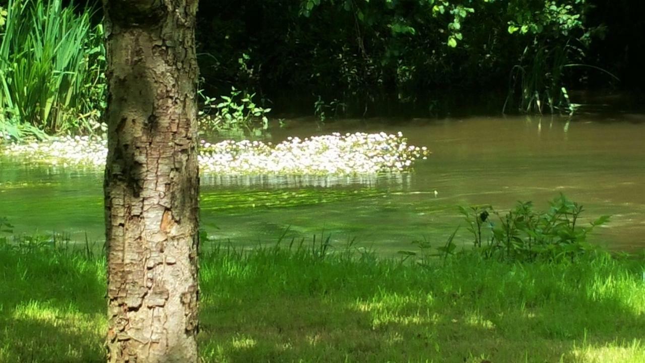 Le Savoir Vivre Bonnes (Charente)
